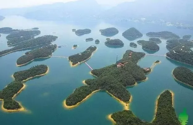 九江有哪些旅游景点,九江境内旅游景点有哪些