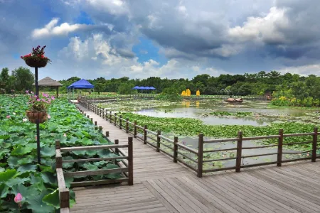 广东中山十大旅游景点,中山旅游景点排名榜是怎样的