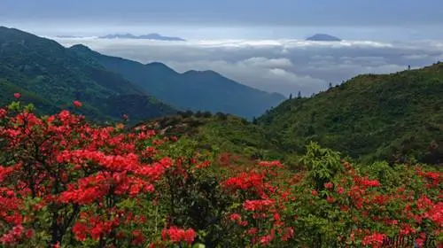 年前自驾去哪里好玩（自驾哪里好玩）