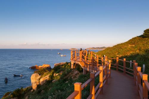 舟山旅游景区,舟山有哪些免费开放的海滩及旅游景点