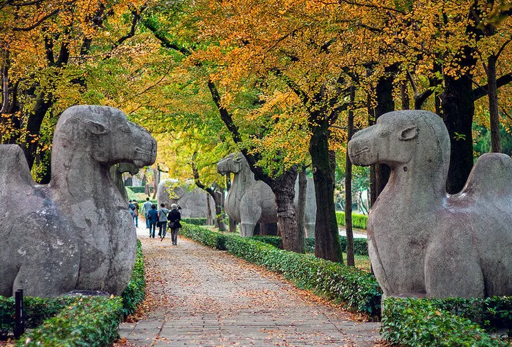 南京的旅游景点介绍（南京著名旅游景点介绍）