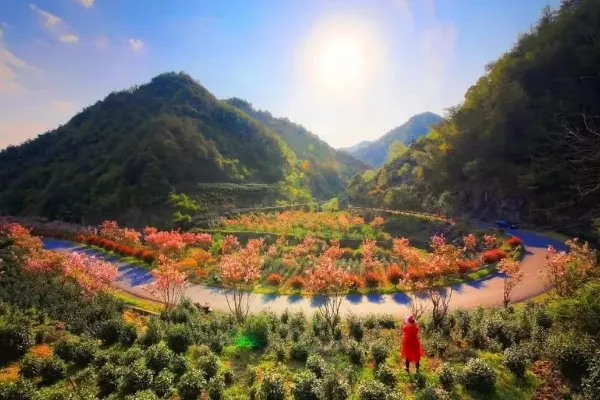 浙江省磐安的旅游景点介绍（浙江磐安旅游景点）