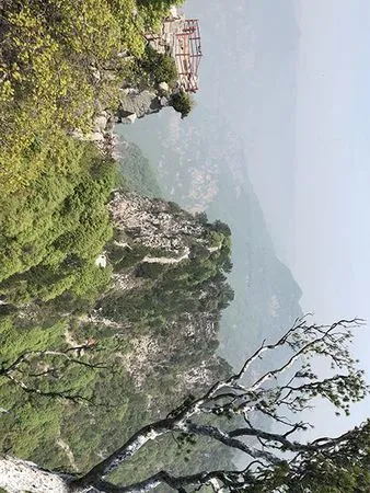 沁阳神农山旅游攻略,谁去过神农山一日游