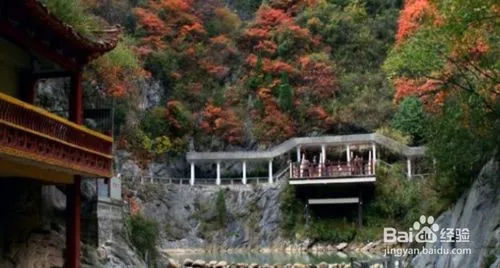 陇南附近旅游景点大全,陇南有那些旅游景点