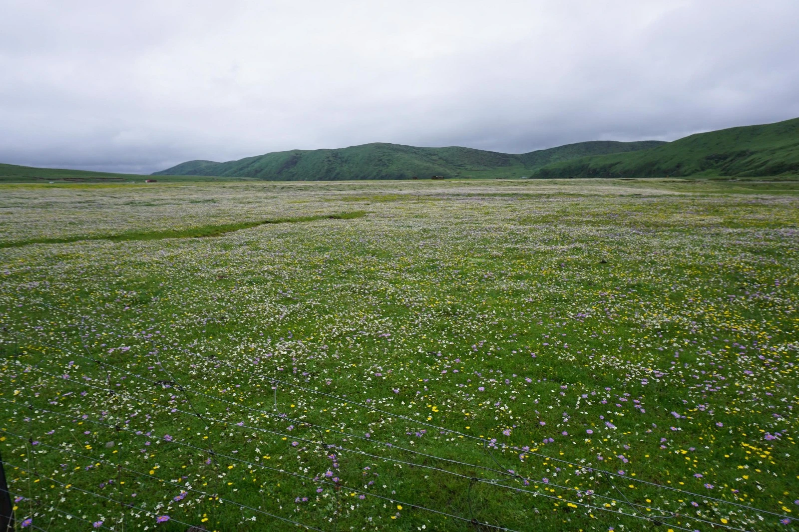 阿坝旅游景点大全,阿坝州旅游景点有哪些