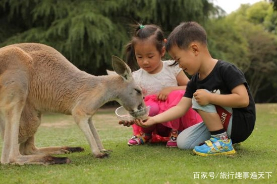 上海亲子旅游全攻略,带小孩上海旅游攻略