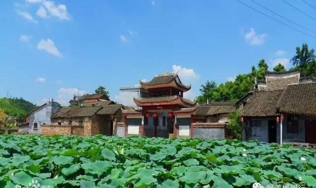 郴州旅游景点,湖南郴州市有哪些好玩的旅游景点