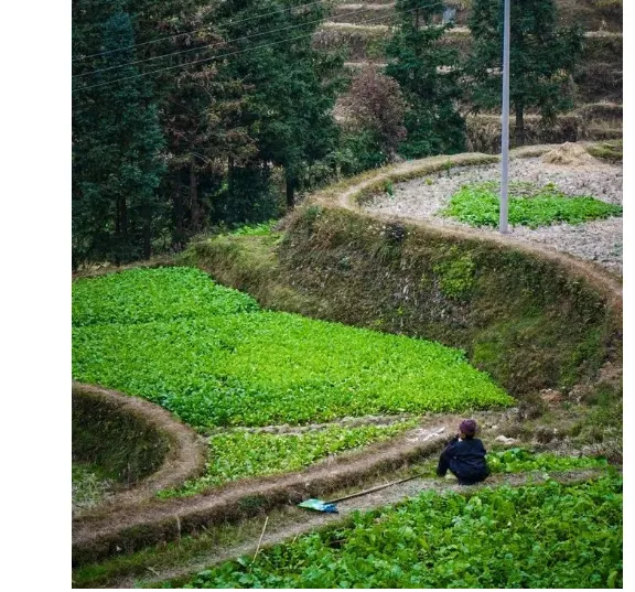 肇兴侗寨旅游攻略,武汉到肇兴侗寨旅游攻略