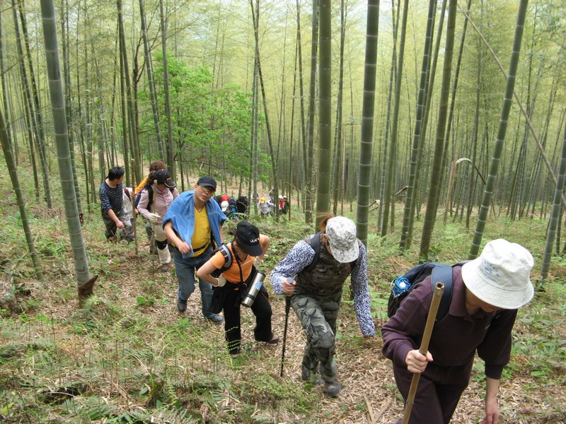 贵阳至张家界旅行团,贵阳去张家界旅游要多少钱