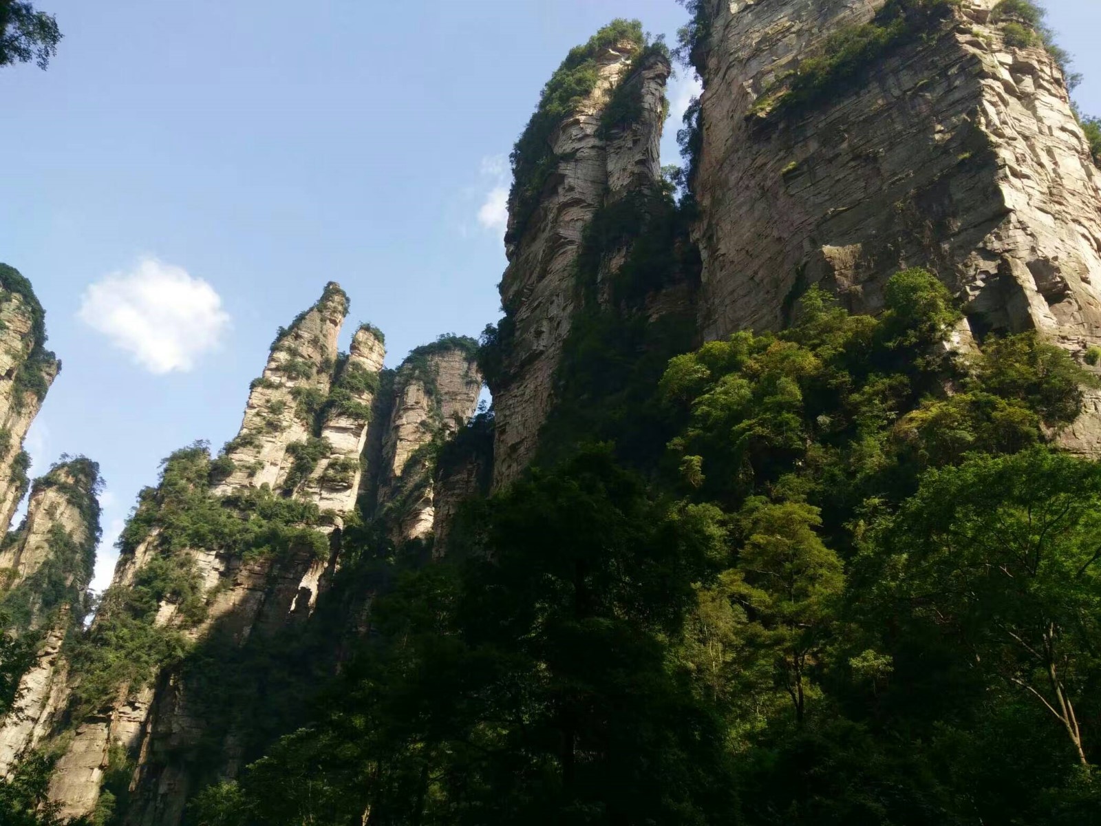 高速服务区接待旅行团,旅游怎么在高速服务区用餐