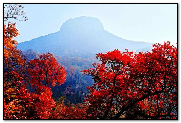 山东十大古镇都是哪些（山东古城旅游景点大全）