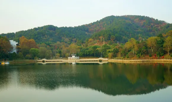 花乡茶谷旅游度假风景区,武汉花乡茶谷旅游度假有限公司怎么样