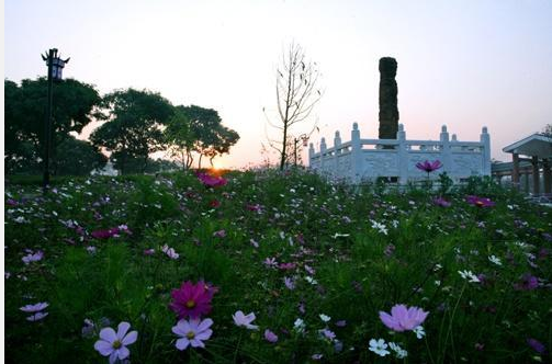 松山湖一日游,求助：松山湖一日游