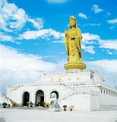 杭州到普陀山一日游团,杭州到普陀山一日游怎么安排