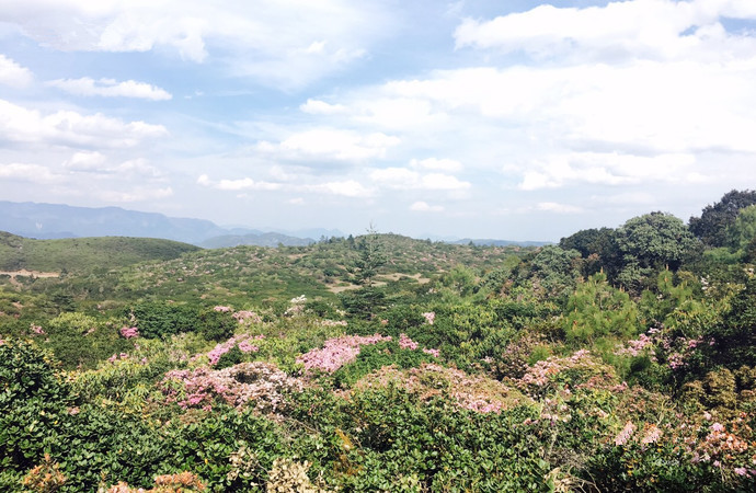 四川攀枝花有哪些景点（四川攀枝花旅游景点）