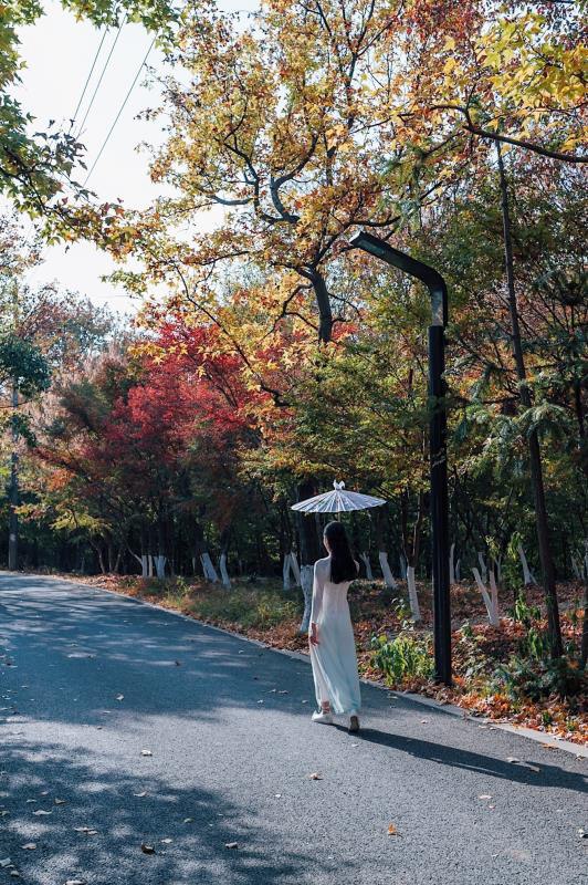 记忆自驾,从市区去温州樟里记忆自驾怎么走