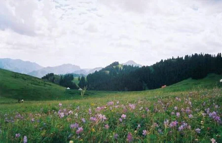 南山风景区旅游,南山景区的景区概况