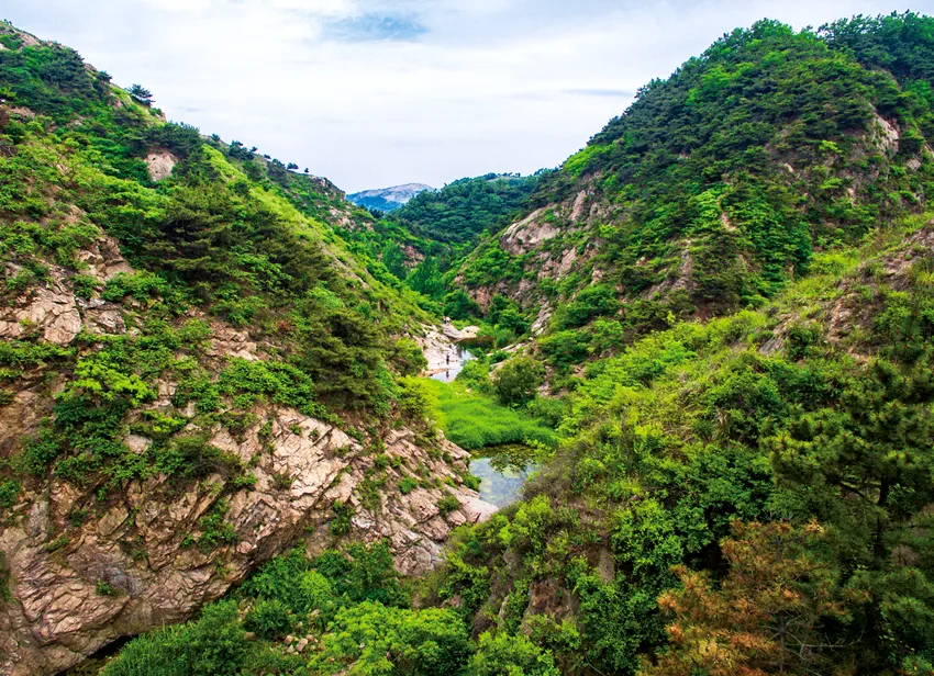 打算去沂蒙山银座天蒙旅游区亲们有什么攻略么做索道上去还是步行呢索道套票是什么意思包括门票钱么（沂蒙山旅游景点门票价格）