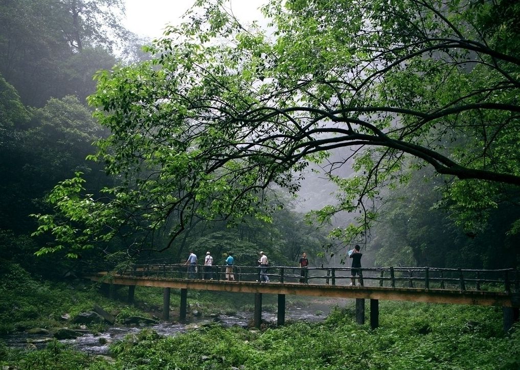 长沙到张家界旅游攻略（去长沙张家界旅游攻略）