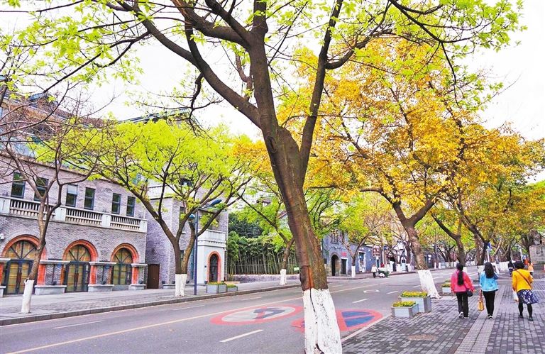 重庆春节一日游,春节重庆旅游