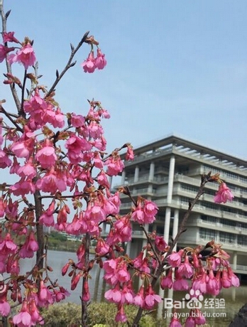 大学城有什么好玩的地方,重庆大学城周围有什么好玩的地方