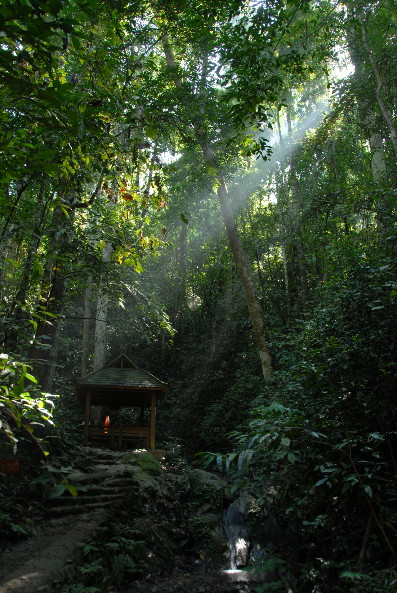 去西双版纳旅游十大必去景点有哪些（景洪一日游攻略必去景点）