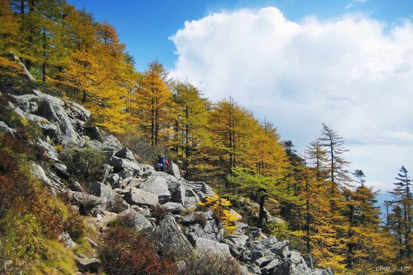 宝鸡市旅游景点,宝鸡市区都有哪些好玩的旅游景点