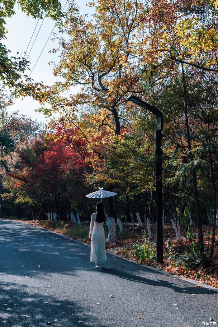 记忆自驾,从市区去温州樟里记忆自驾怎么走