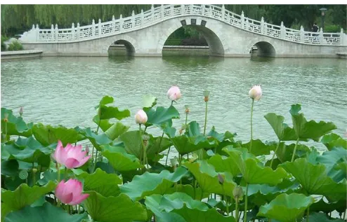 杭州西湖一日游多少钱,杭州西湖旅游一次大概需要多少钱