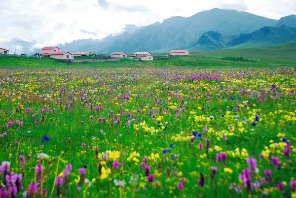 阿坝州旅游景点攻略,四川阿坝州旅游景点攻略