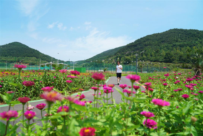 宁波象山旅游景点,宁波象山有什么好玩的地方