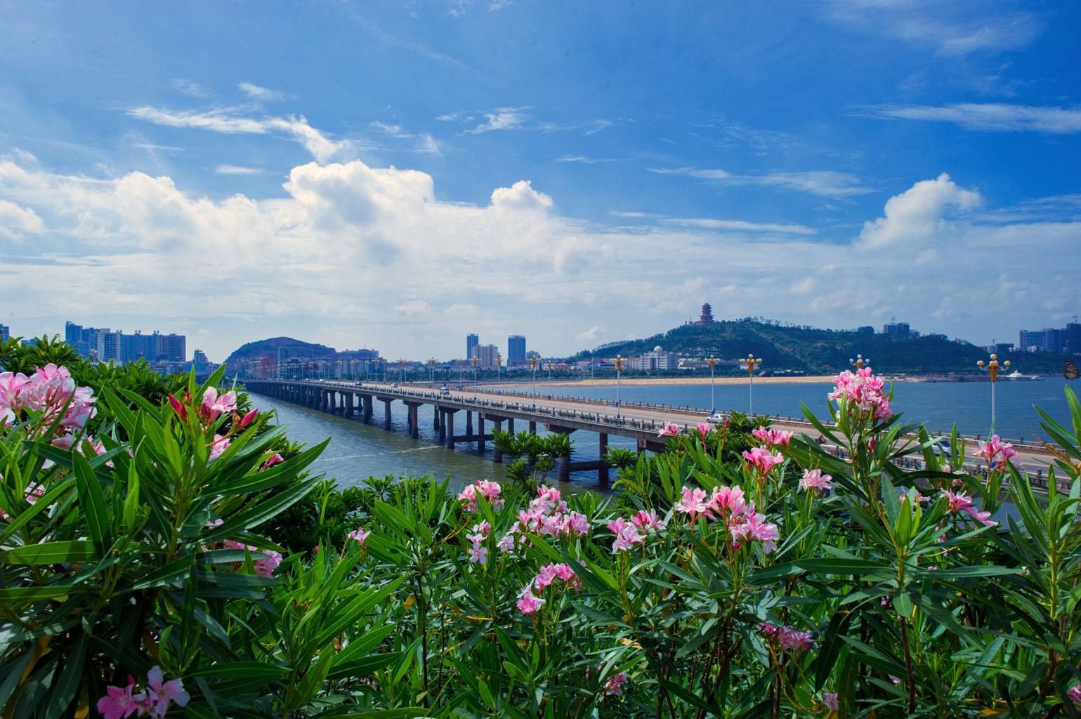 防城港至南宁机场大巴,吴圩机场直达防城港港口汽车站的大巴时刻表谁给下