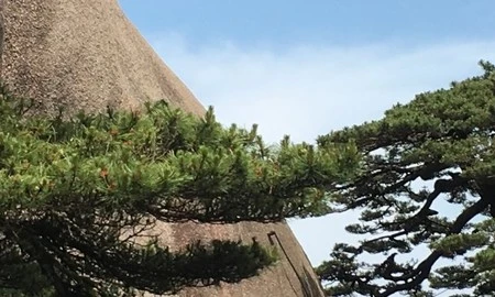 黄山一日游旅游线路,黄山一日游路线