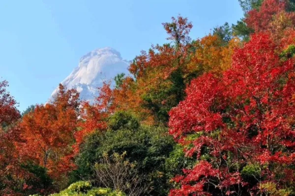 四会有什么旅游景点啊自驾车不用太长时间的就能到达的（广州省四会市自驾游攻略）