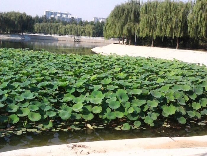 聊城旅游景点大全排名,聊城市有哪些旅游景点