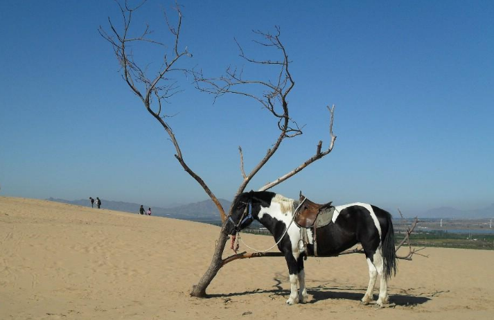 延长旅游景点,延长有什么好玩的地方