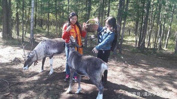 呼伦贝尔跟团旅行,如果只有两个人去呼伦贝尔旅游应该是坐大巴呢还是跟团