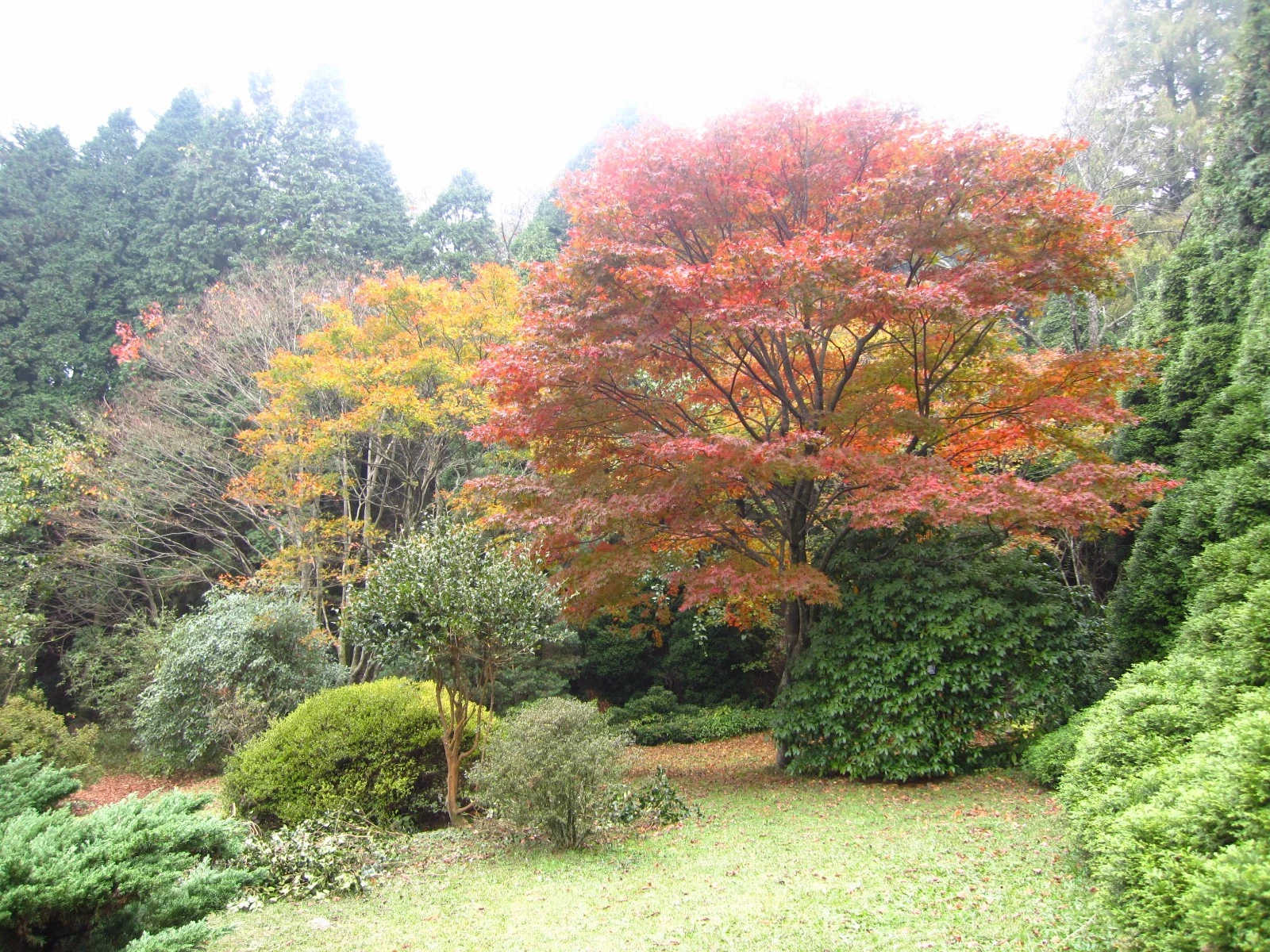 江西庐山旅游攻略