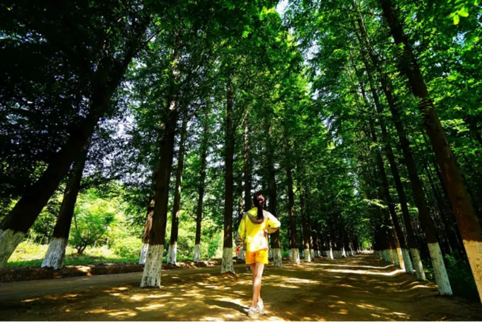 徐州到日照旅游多少钱,从徐州去日照四个人玩两天大概需要多少钱那里到底好不好玩啊