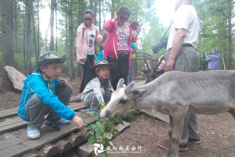 呼伦贝尔室韦旅游攻略,呼伦贝尔大草原旅游攻略