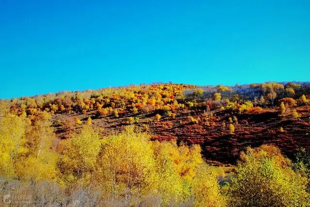 赤峰景点大全,赤峰有什么好玩的地方哪些景点必去