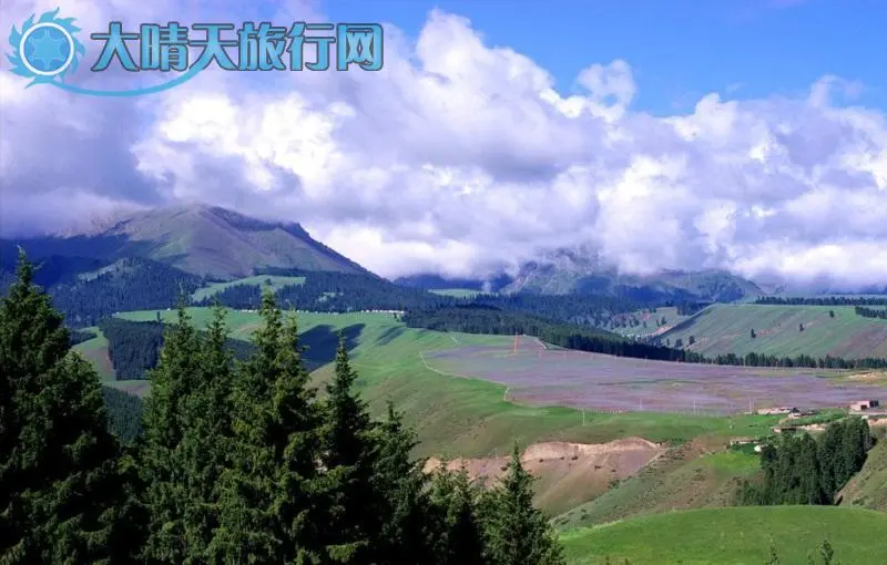 南山风景区旅游,南山景区的景区概况