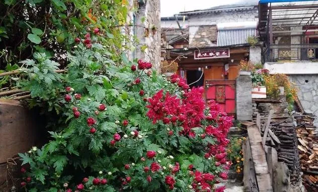 壤塘县的旅游（壤塘马尔康三日游）