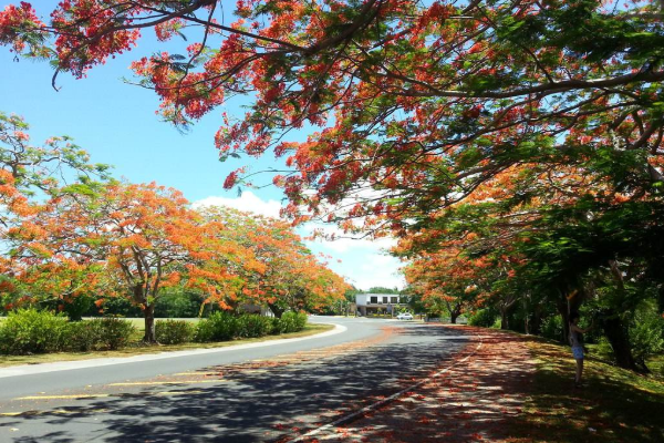 去美国塞班岛旅游有哪些必去的景点呢（塞班岛旅游景点介绍）