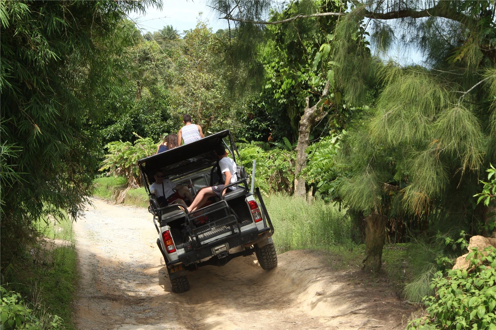 苏梅岛越野车一日游,苏梅岛越野车环岛4x4安全吗