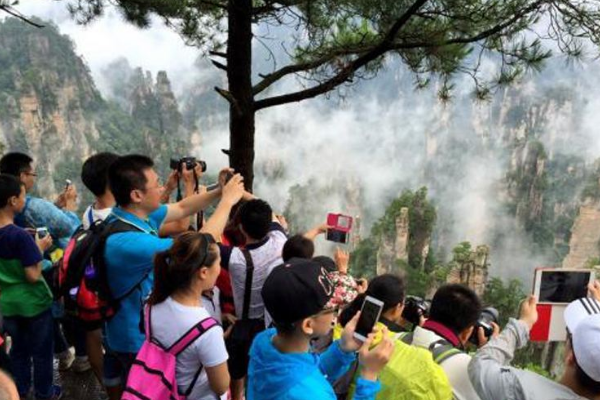 张家界自由行费用,去张家界旅游大约需要多少费用