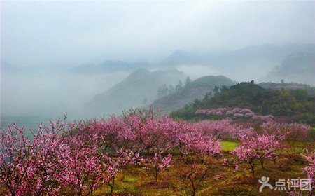 东莞丰行旅行社,东莞丰行旅行社的下属部门