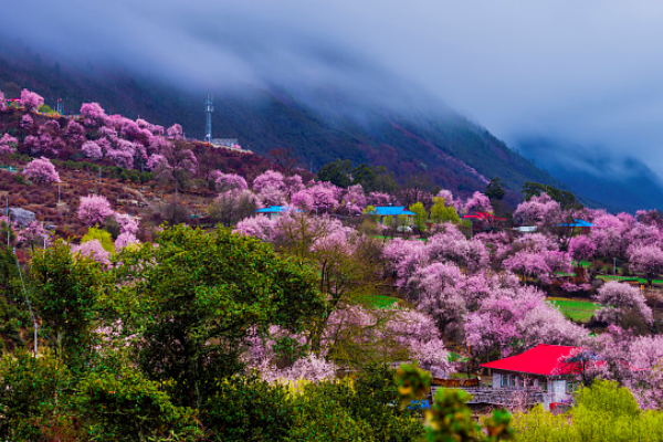 西藏有哪些旅游景点,去西藏旅游必须要去的景点有哪些