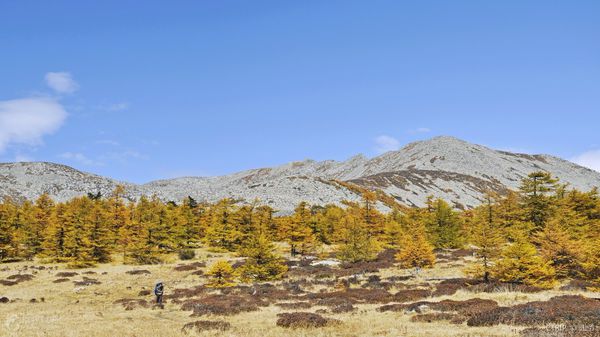 宝鸡周边二日游,从宝鸡出发的2日游有那些地方