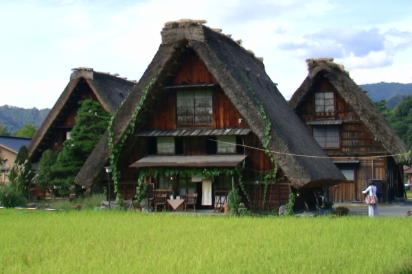 去日本旅游大约要多少费用（去日本旅游(自由行)大约一个月大概需要多少钱）